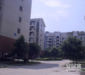 金建 小區小區照片