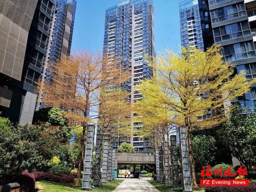 有你小區嗎 福州31家物業企業獲評 五星級物業