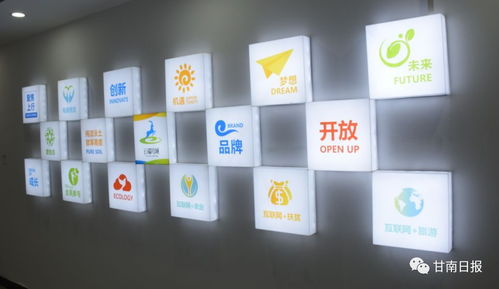 合作市電子商務(wù)公共服務(wù)中心正式啟動，賦能電商運營管理服務(wù)新篇章